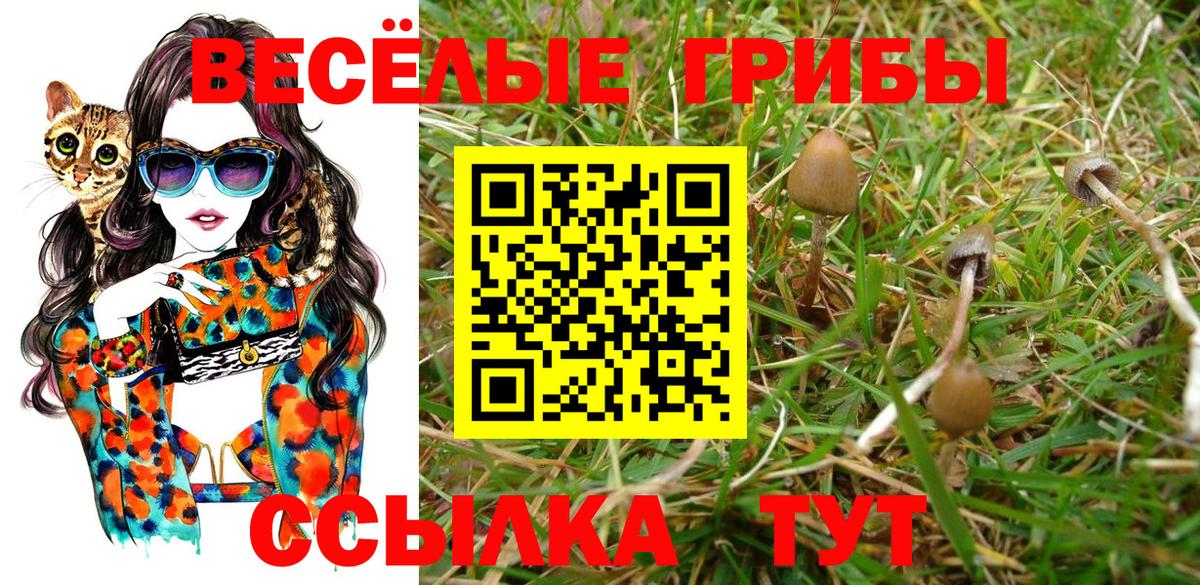 Псилоцибиновые грибы Magic Shrooms Ханты-Мансийск