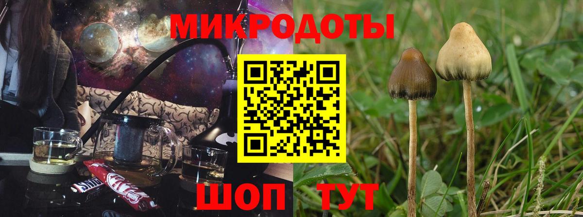 Псилоцибиновые грибы Psilocybe  Вход с VPN  Галлюциногенные грибы Psilocybe  Ханты-Мансийск 